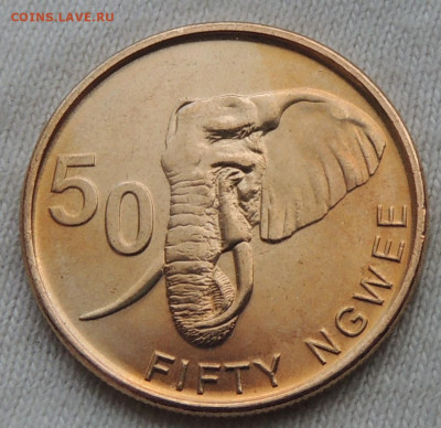 Замбия 50 нгве 2024 до 11.06.2025 - Замбия 50 нгве 2024.JPG