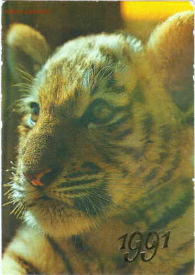 календарик 1991 г. до 14.06.25 г. в 23.00 - 020