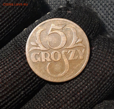 ПОЛЬША 5 ГРОШЕЙ 1931 года До 14.06 - 20250311_202743
