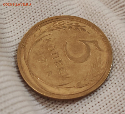 5 копеек 1928 с 200 рублей. До 08.06 в 22:00 мск - IMG-20250608-WA0002
