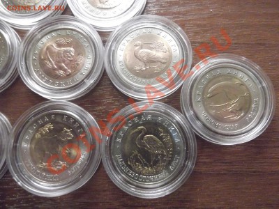 Красная книга 91,92,93 до 15.02.12 22.00.59 - DSCF1091