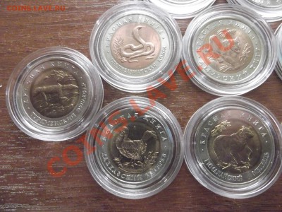 Красная книга 91,92,93 до 15.02.12 22.00.59 - DSCF1089