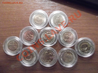 Красная книга 91,92,93 до 15.02.12 22.00.59 - DSCF1087