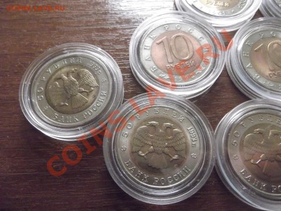 Красная книга 91,92,93 до 15.02.12 22.00.59 - DSCF1094