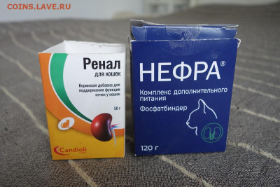 Вниманию кошатников и кошатниц до 19.06.25 - нефра4