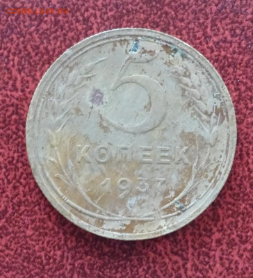 5 копеек 1937 год 17.06.2025 21.00 мск - DSC04039.JPG