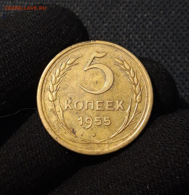 5 копеек 1955 года До 22.06 - 20250616_001033