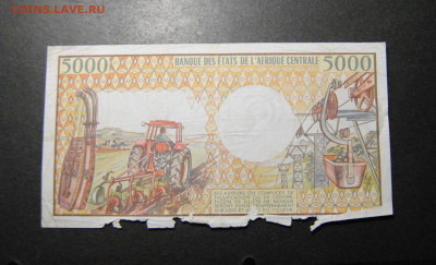 5000 франков 1984 Камерун, 100 франков африканская экватория - DSC_9996