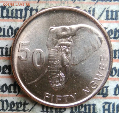 Замбия 50 нгве 2024 года до 24.06.2025 - IMG_20250618_204437