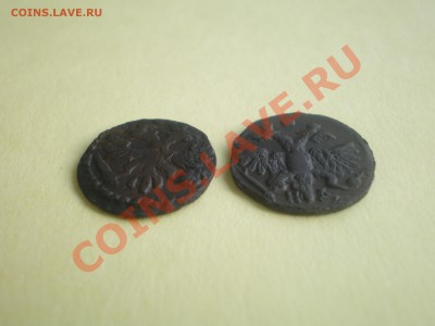 Полушки Петра 1 - IMGP2060.JPG