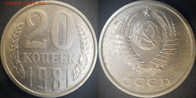 20 коп  1981 годы (4 разновидности)  до 22:00, 26.06.25 - 20к-1981-3