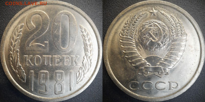 20 коп  1981 годы (4 разновидности)  до 22:00, 26.06.25 - 20к-1981-1