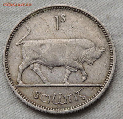 Ирландия 1 шиллинг 1954 до 25.06.2025 - Ирландия 1 шиллинг 1954.JPG