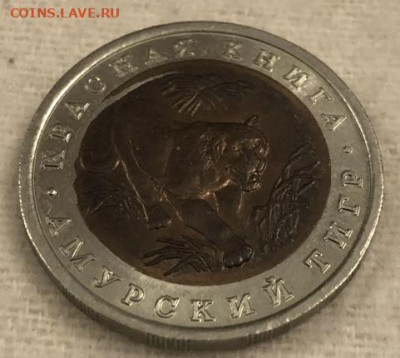 Запресовка 10 рублей 1992 Амурский Тигр на Оценку. - IMG_8157