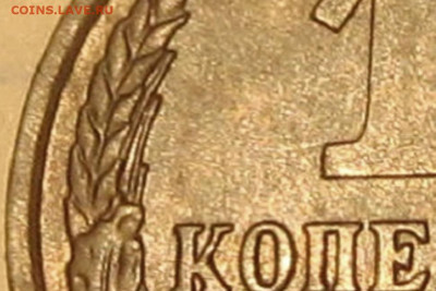 Две копеечные монеты СССР 1991 л разные. - IMG_8706 (2).JPG