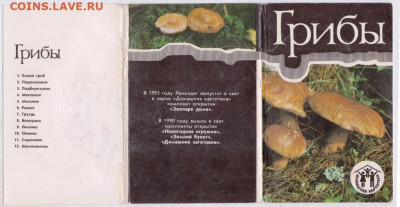 ГРИБЫ комплект открыток 12 шт. 1991 г до 04.07.25 г. в 23.00 - 009