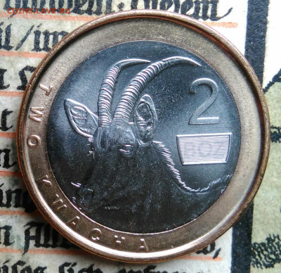 Замбия 2 квача 2024 года до 04.07.2025 - IMG_20250624_213614