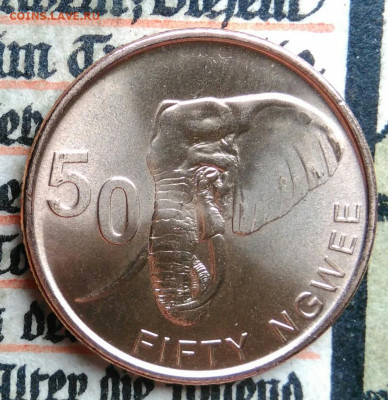 Замбия 50 нгве 2024 года до 04.07.2025 - IMG_20250624_213546