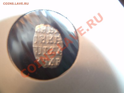 Прошу оценить чешую - GEDC0082.JPG