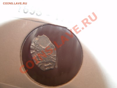 Прошу оценить чешую - GEDC0085.JPG