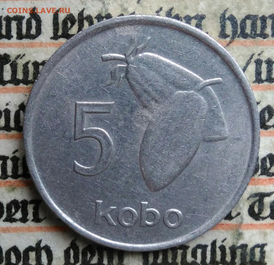 Нигерия 5 кобо 1974 года до 04.07.2025 - IMG_20250629_223930