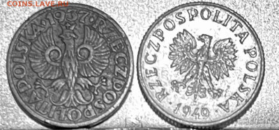 Польша 1 грош 1937 и 1949 г До 03.07 В 22-00МСК - FullSizeRender - 2025-06-30T140416.642