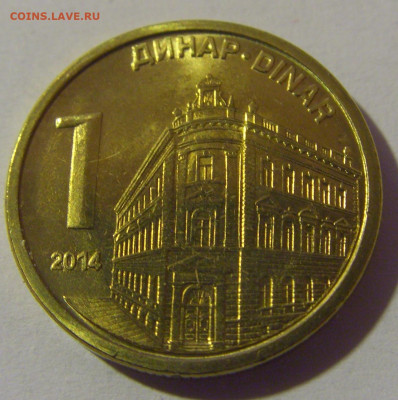 1 динар 2014 Сербия №1 07.07.25 22:00 М - CIMG7520.JPG