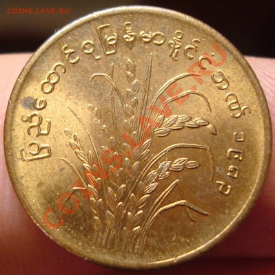 Бирма 10 пья 1983 г. UNC до 20,02 в 21-30 - DSC03469.JPG