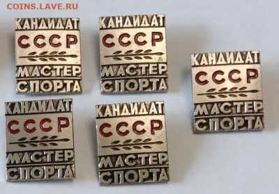 шт - 87456a5f-9cfa-4384-a3ea-b758d488c52f