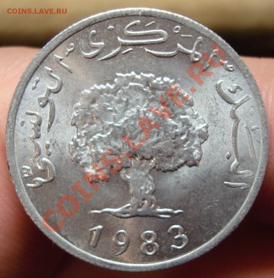 Тунис 5 миллим 1983 г. UNC до 20,02 в 23-00 - DSC03497.JPG