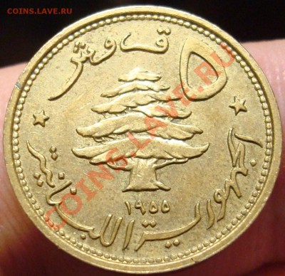 Ливан 5 пиастр 1955 г. со львом до 20,02 в 22-30 - DSC03521.JPG