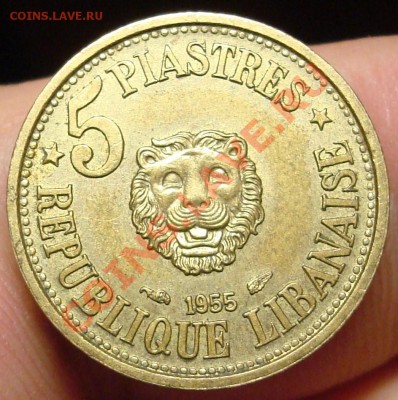 Ливан 5 пиастр 1955 г. со львом до 20,02 в 22-30 - DSC03520.JPG