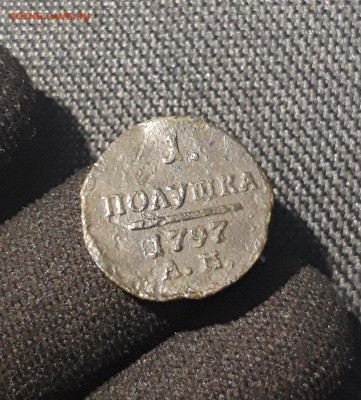 ПАВЕЛ I полушка 1797 года АМ До 10.07 - 20250617_203259