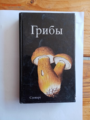 Книга все о грибах до 12.07.25 в 22:00 по мск - IMG_20250706_131525