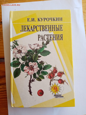 Лекарственные растения до 12.07.25 в 22:00 по мск - IMG_20250706_132245