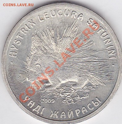 Казахстан 50 тенге "Дикобраз" до 17.02.12 в 22.00 - 50 тенге - дикобраз_2