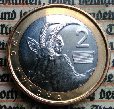 Замбия 2 квача 2024 года до 14.07.2025 - IMG_20250707_144220