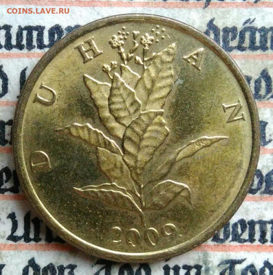 Хорватия 10 лип 2009 года до 14.07.2025 - IMG_20250707_182819