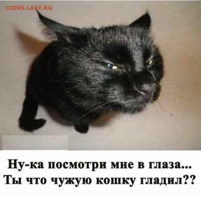 делает - прямо сейчас !!! - 247d5cd00e9ac9904274576eab1874e7