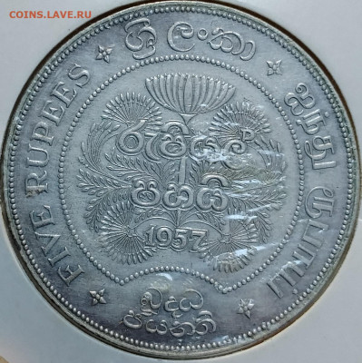 Цейлон 5 рупиев 1957 2500 лет буддизму до 12.07 - IMG_20250709_130123_587