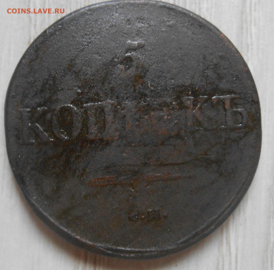 5 копеек 1831 см, 1831, 1832, 1836 ем. - Аверс.JPG