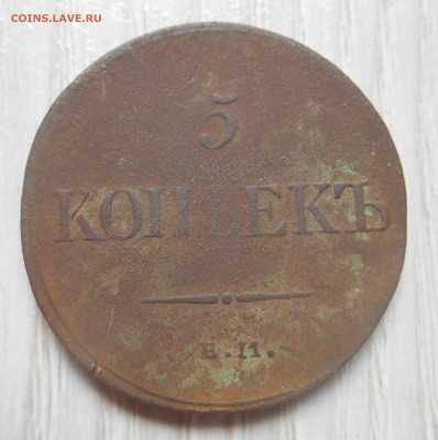 5 копеек 1831 см, 1831, 1832, 1836 ем. - Аверс.JPG