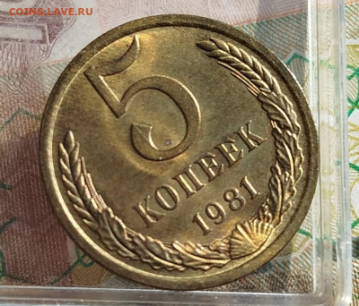 5 копеек 1981 г .UNC - IMG_20250111_115604