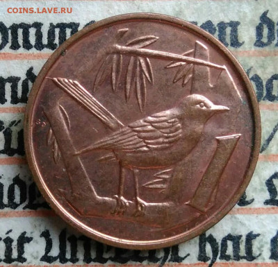 Каймановы острова 1 цент 2002 года до 14.07.2025 - IMG_20250707_151637