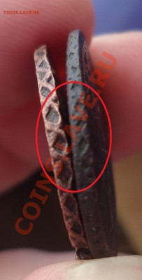 денга 1730г мелкая сетка гурта - DSC03136_cr