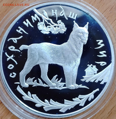 3 рубля 1995 Сохраним наш мир - Рысь до 16.07 - IMG_20250713_125828_733