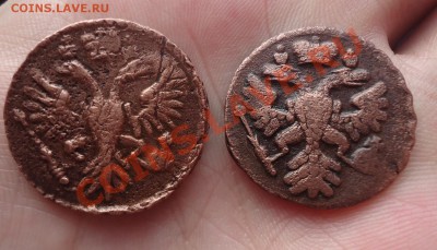 Монеы денга 1738г,1731г (переч) до 20.02.12г до 22-00 - DSC03150_cr