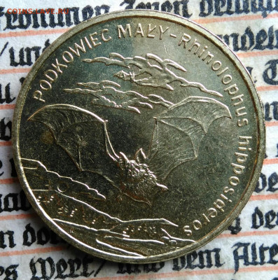 Польша 2 злотых 2010 года Малый подковонос до 21.07.2025 - IMG_20250714_001058