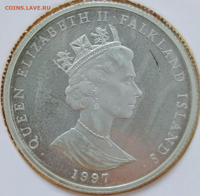Фолклендские о-ва 50 пенсов 1997 Рождение Елизаветы до 24.07 - IMG_20250720_151843_278