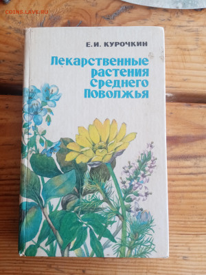 Лекарственные растения среднего поволжья - IMG_20250723_160917
